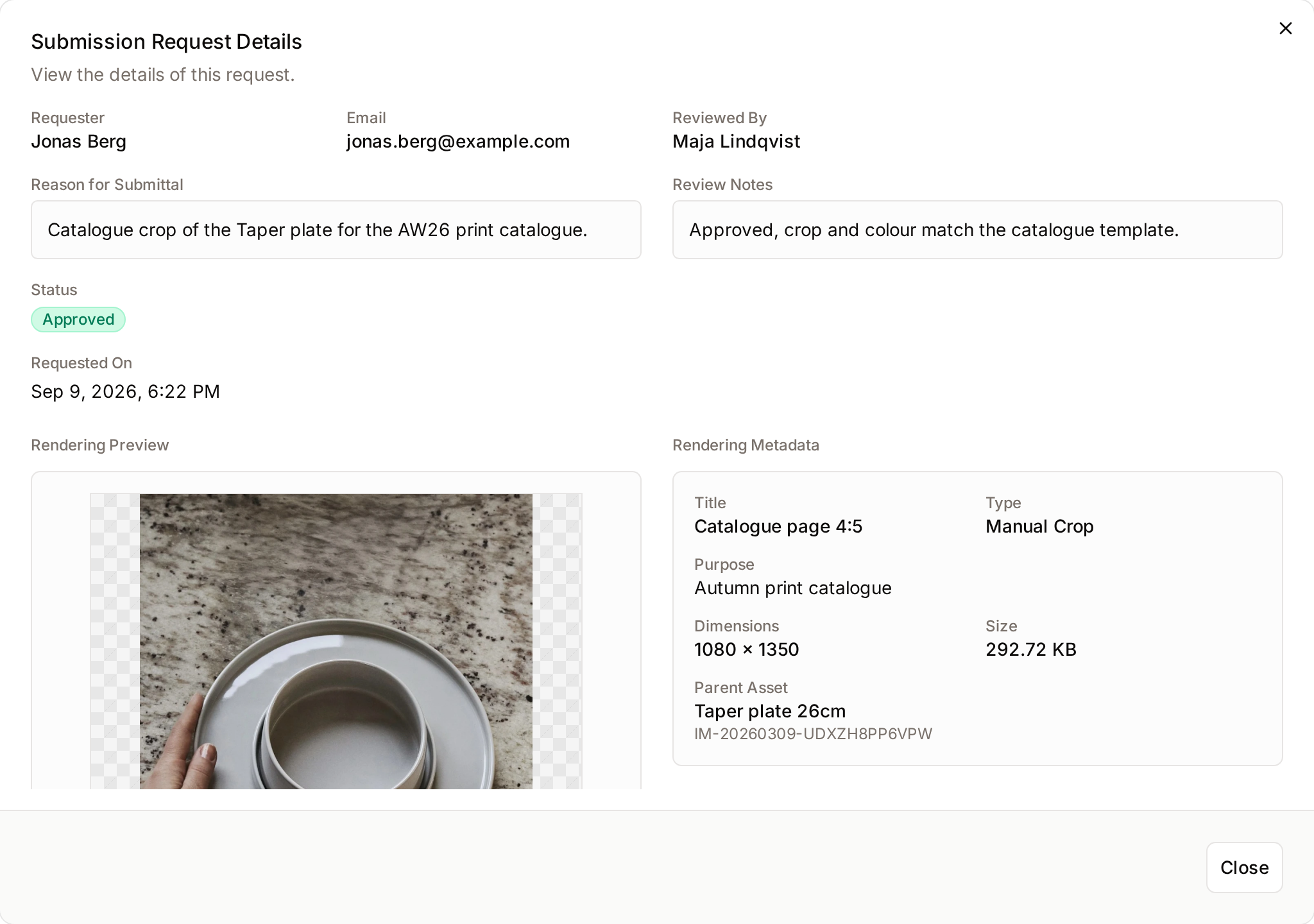 Details of a processed submission request with the rendering preview and its metadata