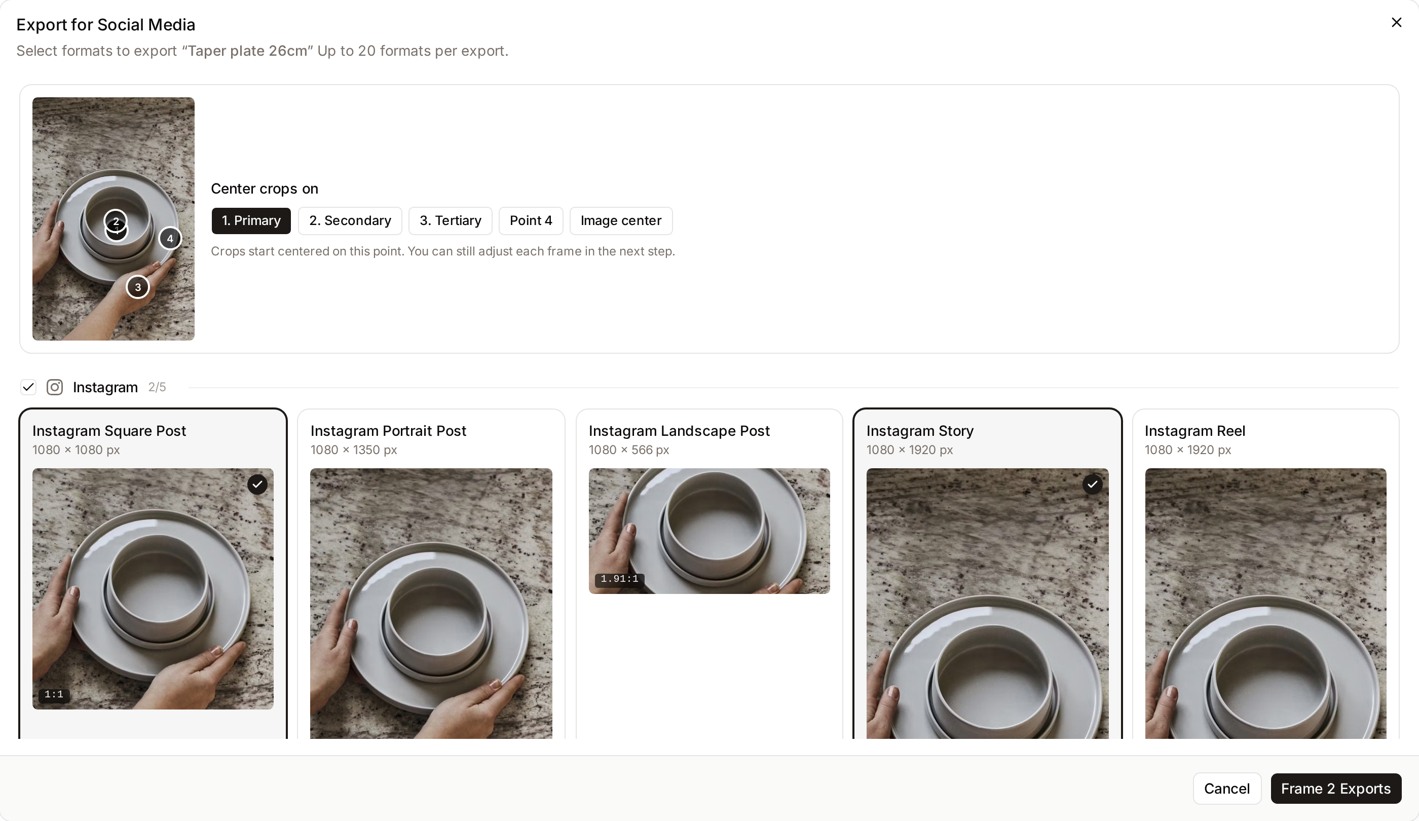 The Export for Social Media dialog with formats grouped by platform and two Instagram formats selected