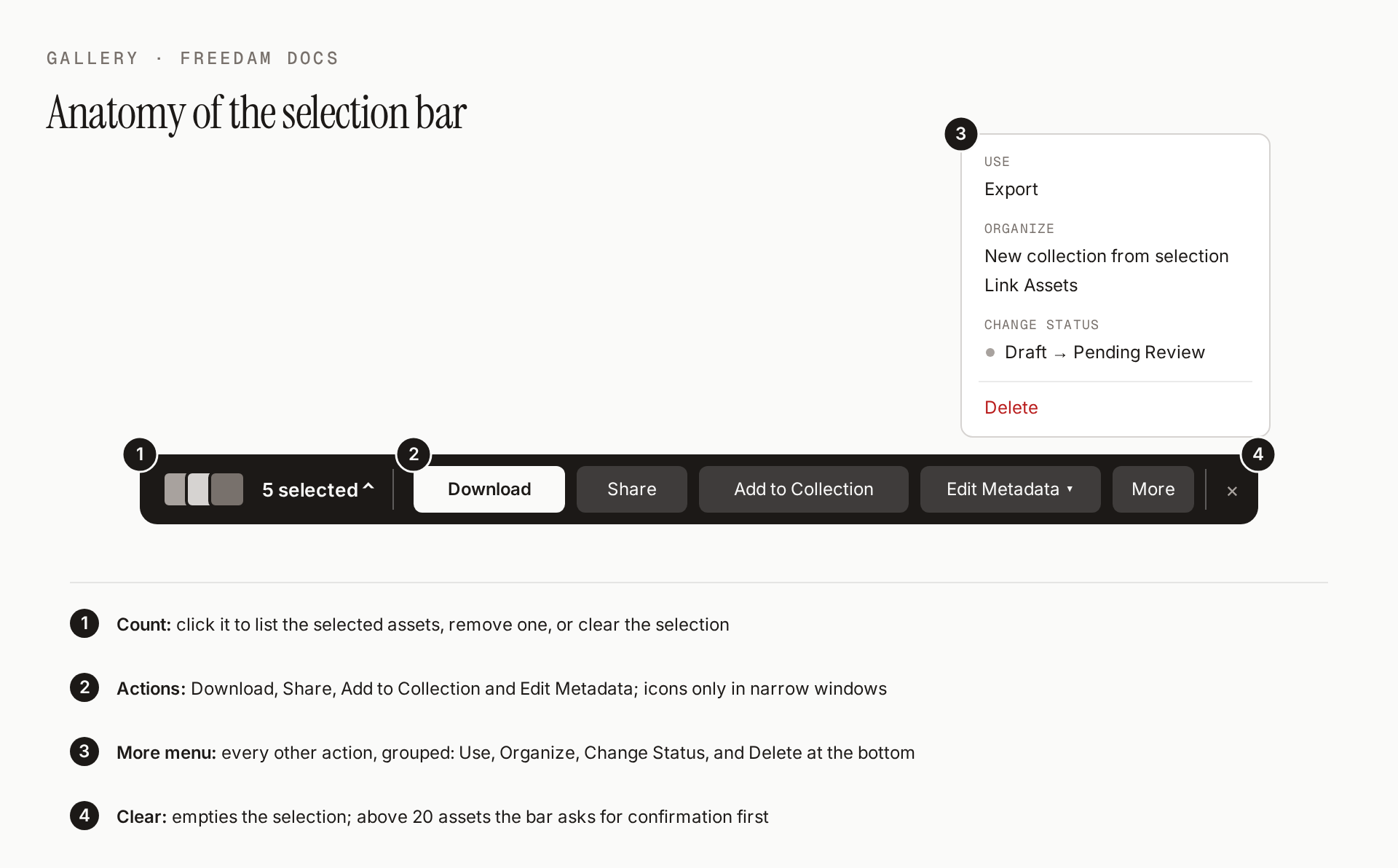 Anatomy of the selection bar: the count, which opens the list of selected assets; the actions Download, Share, Add to Collection and Edit Metadata; the More menu, open on its groups Use, Organize, Change Status and Delete; and the X that clears the selection.