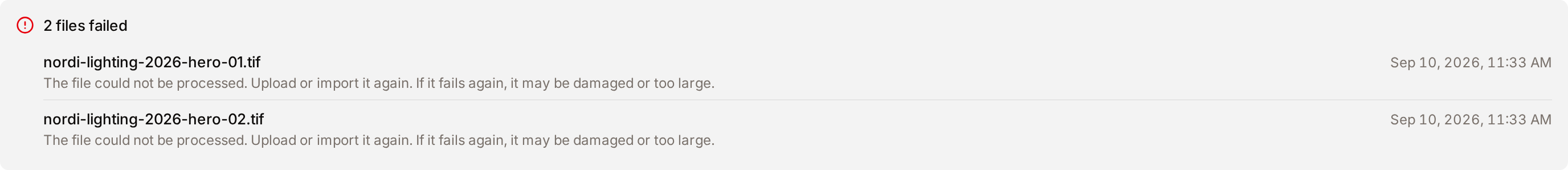The failed files panel of a batch: two files, each with the reason it failed and what to do